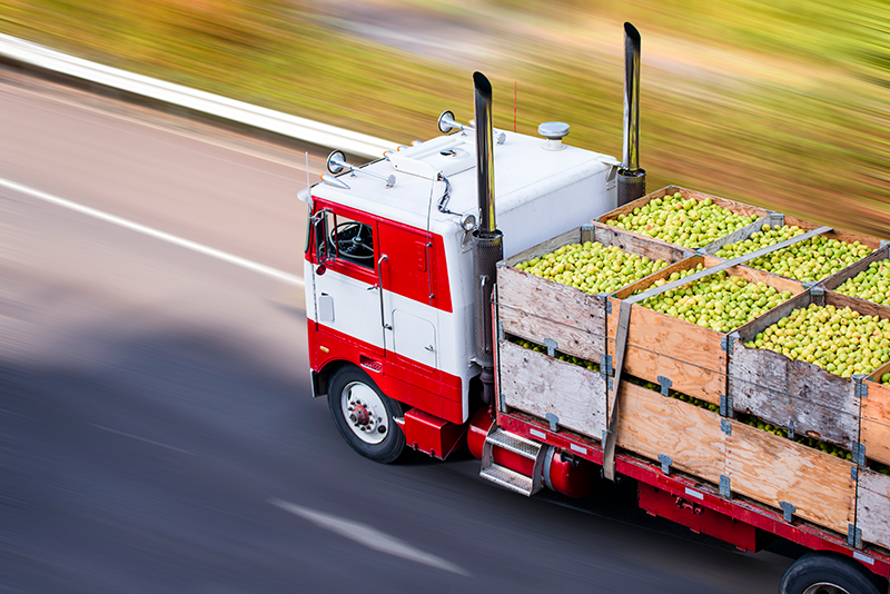 Cold Chain Logistics