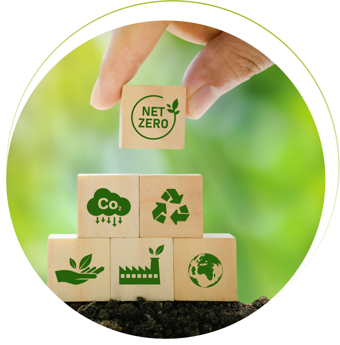 Sustainability microcredential